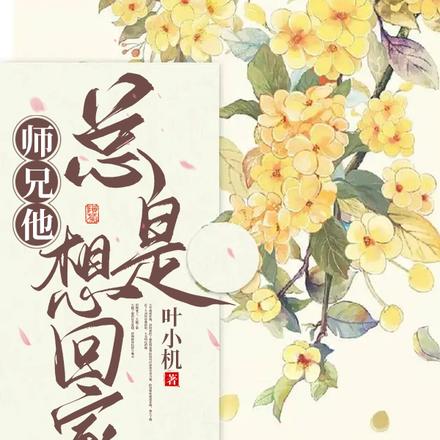 师兄他总是想回家