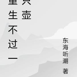 重生不过一只壶