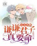 完美攻略:谦谦君子,真要命