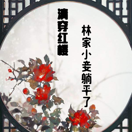 清穿红楼林家小妾躺平了
