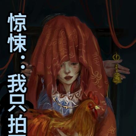 惊悚：我只拍冥婚