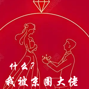 什么?我被京圈大佬赖上了!
