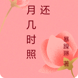 明月几时照我还