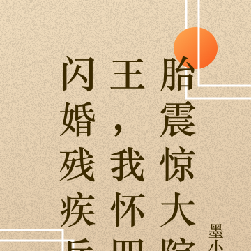 闪婚残疾兵王,我怀四胎震惊大院