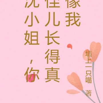 沈小姐,你侄儿长得真像我