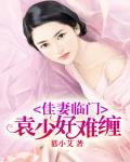佳妻临门,袁少好难缠