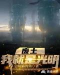 废土:我就是光明