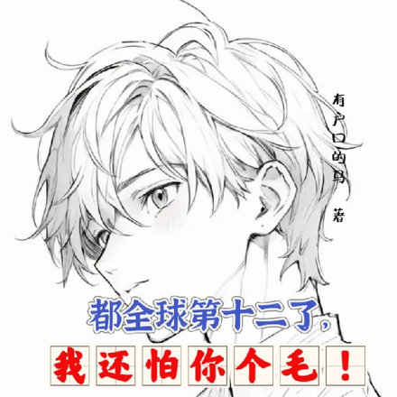 都全球第十二了,我还怕你个毛!