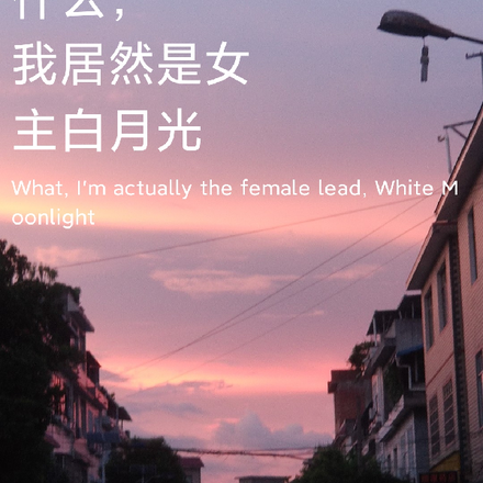 什么？我是女主的白月光！