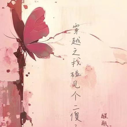 穿越之我碰见个二傻子