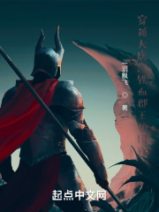 穿越大唐,铁血郡王护国殇