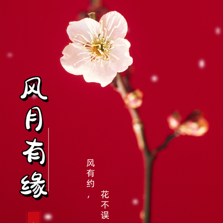 风月有缘