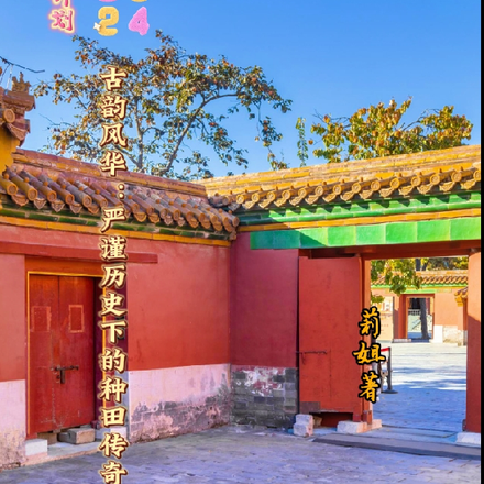 古韵风华严谨历史下的种田传奇