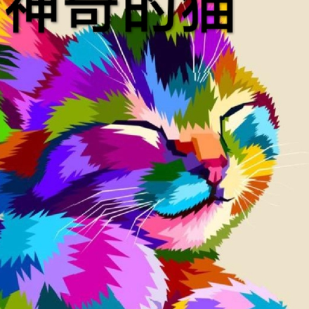 神奇的猫