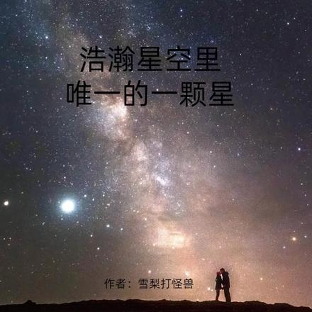 浩瀚星空里唯一的一颗星