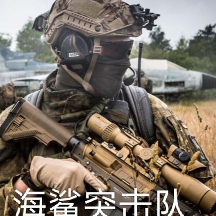 海鲨突击队