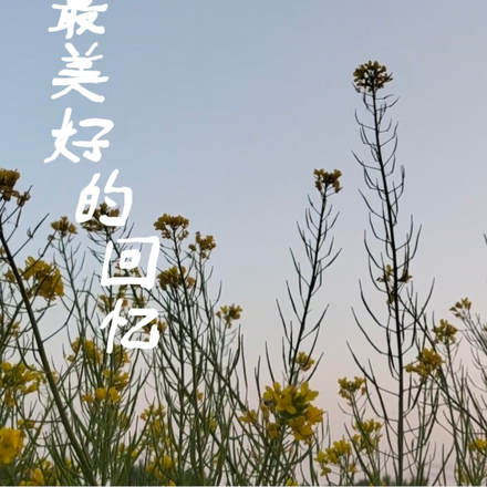 最美好的回忆recall