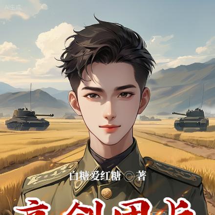 亮剑团长不要犯错误