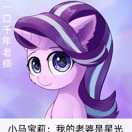 小马宝莉：我的老婆是星光熠熠