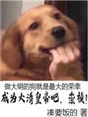 成为大清皇帝吧,崇祯!