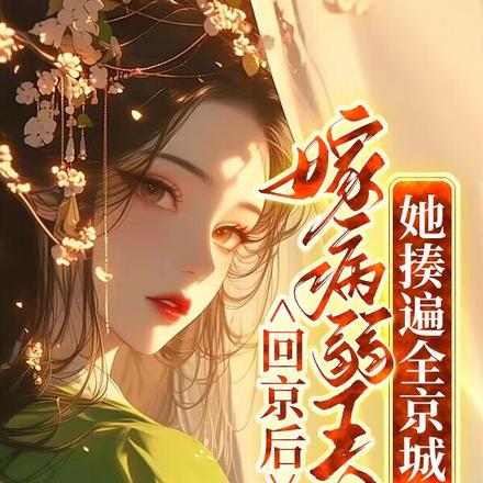 回京后嫁病弱王爷,她揍遍全京城