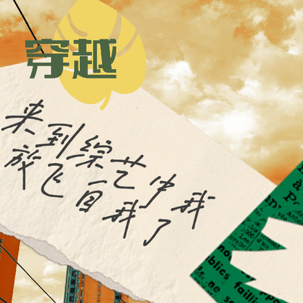 穿越：来到综艺中我放飞自我了
