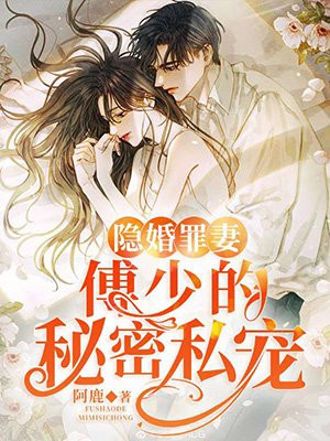 隐婚罪妻:傅少的秘密私宠