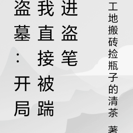 盗墓:开局我直接被踹进盗笔