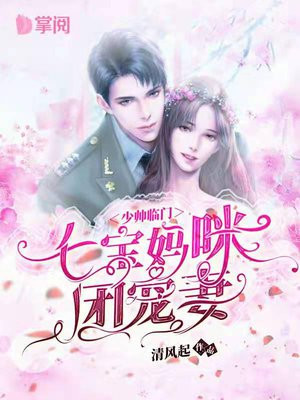 少帅临门,七宝妈咪团宠妻
