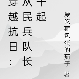 抗战之从民兵队长开始