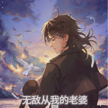 无敌从我的老婆,是加点系统开始
