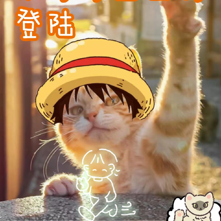 海贼：从可可亚西村登陆