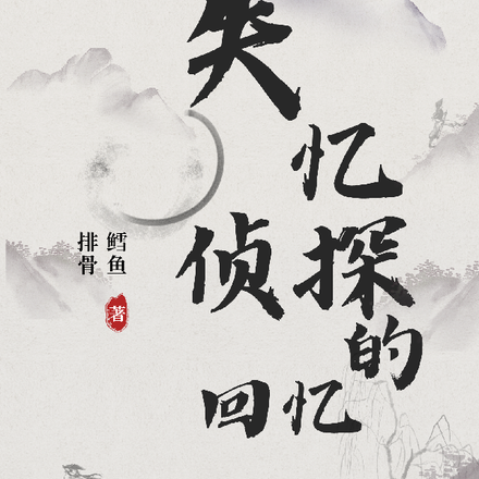 失忆侦探的回忆录11