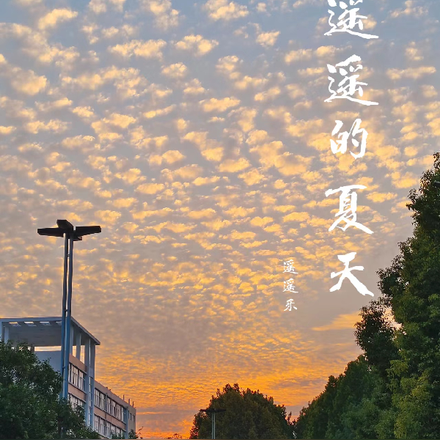 遥遥的夏天