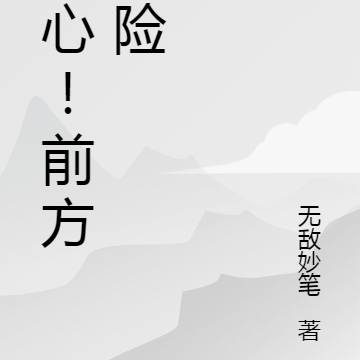 小心！前方危险