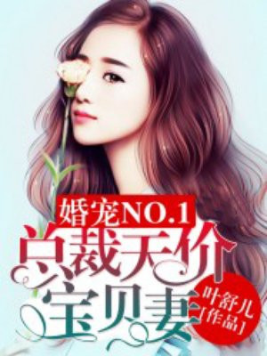 婚宠NO.1:总裁天价宝贝妻