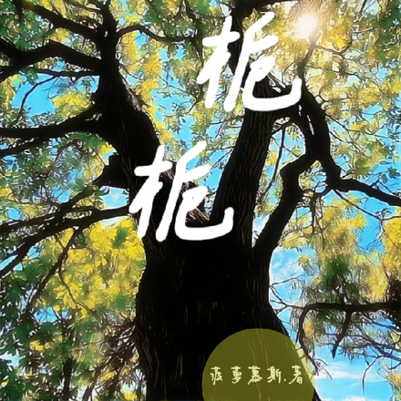 浔栀栀