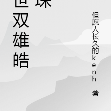 乱世双雄皓与琛