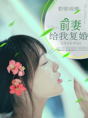 惹爱成婚:前妻,给我复婚