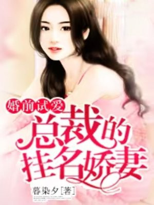 婚前试爱,总裁的挂名娇妻