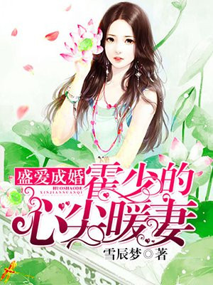 盛爱成婚:霍少的心尖暖妻