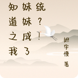 天知道之我的妹妹成了系统？！