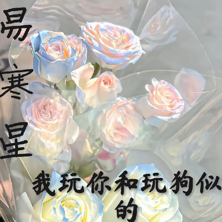 易寒星,我玩你和玩狗似的