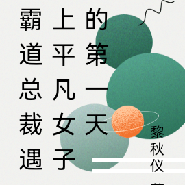 霸道总裁遇上平凡女子的第一天