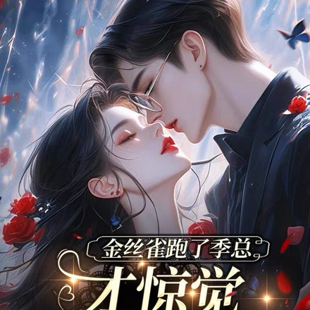 金丝雀跑了季总才惊觉自己是替身