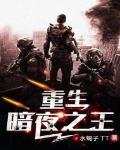 重生暗夜之王