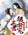 闯祸仙妃:夫君,很会宠!