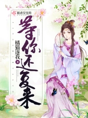 等你还复来