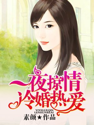 一夜掠情:冷婚热爱