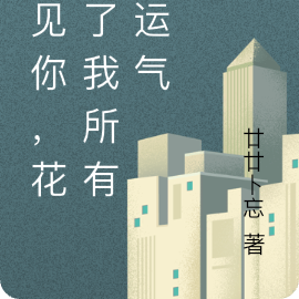 遇见你，花光了我所有的运气
